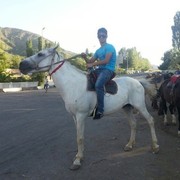  ,   , 31 ,   ,   , c , 