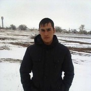  ,  egggorr, 50