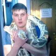 ���������� ������, ���� ������� ����, 36 ���, ������������ ��� ������