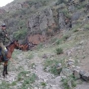 ���������� ������, ���� ������� �����, 37 ���, ������������ ��� ������, ����� � ���������, c�������� ���������