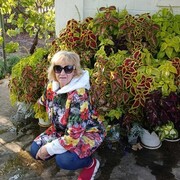  ,   , 65 ,   ,   