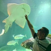 ���������� ������, ���� ������� ������, 36 ���, ������������ ��� ������, ����� � ���������