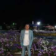  ,   , 46 ,   ,   