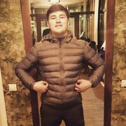  ,   Salix, 29 ,   ,   , c 