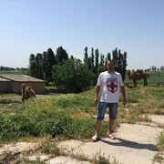  ,   , 46 ,   ,   