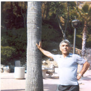  ,   Hayk, 71 ,   