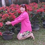 ���������� ������, ���� ������� ������, 54 ����, ������������ ��� ����� � ���������, c�������� ���������