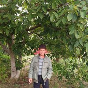  ,   , 53 ,   ,   