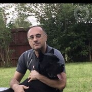  ,   , 51 ,   ,   