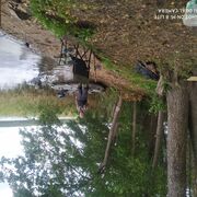  ,   , 63 ,   ,   , c 