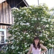  -,   , 49 ,     , c 