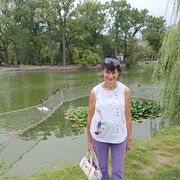 ,   , 62 ,   ,   