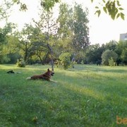  ,   Alexandr, 55 ,   