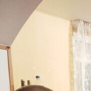 ���������� ������, ���� ������� ���������, 43 ����, ������������ ��� ������, ����� � ���������