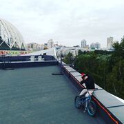 ���������� ������������, ���� ������� ������, 29 ���, ������������ ��� ������, ����� � ���������, c�������� ���������, ���������