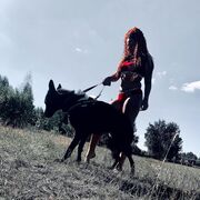 ���������� �������, ���� ������� Catalina, 34 ����, ������������ ��� ������, ���������