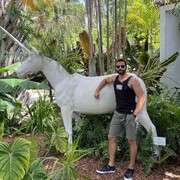 ���������� ������, ���� ������� ����, 37 ���, ������������ ��� ������, ����� � ���������, c�������� ���������, ���������