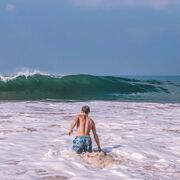 ���������� ���������, ���� ������� Alex, 35 ���, ������������ ��� ������, ����� � ���������, c�������� ���������, ���������