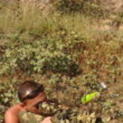 ���������� ������, ���� ������� ����, 49 ���, ������������ ��� ������, ����� � ���������, c�������� ���������