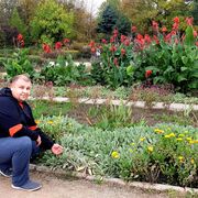 ���������� �����������, ���� ������� ����, 40 ���, ������������ ��� ����� � ���������, c�������� ���������, ���������