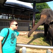 ���������� �����������, ���� ������� ������, 40 ���, ������������ ��� ������, ����� � ���������, c�������� ���������