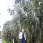 ���������� ������, ���� ������� ������, 37 ���, ������������ ��� ����� � ���������, c�������� ���������, ���������