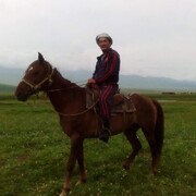 ���������� ������, ���� ������� �����, 45 ���, ������������ ��� ������, ����� � ���������