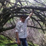  ,   , 33 ,     , c 