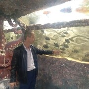 ���������� ������������, ���� ������� �������, 41 ���, ������������ ��� c�������� ���������, ���������