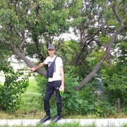  ,   , 41 ,     , c 
