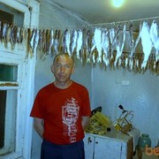  ,   , 55 ,  