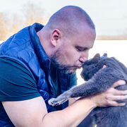 ���������� �����������, ���� ������� ����, 40 ���, ������������ ��� c�������� ���������