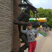  --,   , 66 ,   ,   