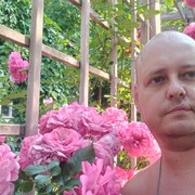 ���������� �����-���������, ���� ������� ���������, 47 ���, ������������ ��� ������, ����� � ���������