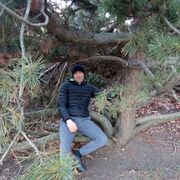 ���������� ������, ���� ������� �������, 41 ���, ������������ ��� c�������� ���������