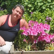 --,   , 50 ,   