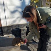 ���������� �����������, ���� ������� ���������, 23 ����, ������������ ��� ������, ����� � ���������