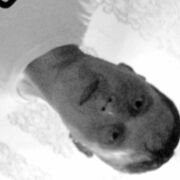  ,   , 43 ,   c 