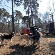 ���������� �����������, ���� ����� ������, 24 ����, ������������ ��� ������, ����� � ���������