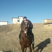 ���������� ����������, ���� ������� Huseh, 44 ����, ������������ ��� ������, ����� � ���������