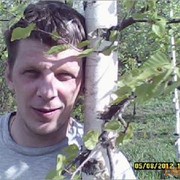  ,  Igor, 43