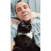  ,   , 50 ,   c 