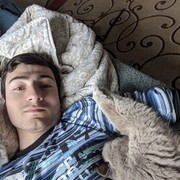 ���������� ���������, ���� ������� ������, 29 ���, ������������ ��� ������, ����� � ���������, ���������