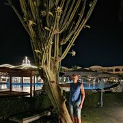 ���������� ���������, ���� ������� ����, 62 ����, ������������ ��� ������, ���������