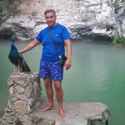  -,   , 55 ,   ,   