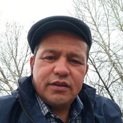  ,   Nasimii, 48 ,   ,   
