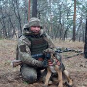 ���������� ������, ���� ������� �������, 40 ���, ������������ ��� ������, ����� � ���������