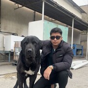 ���������� ���������, ���� ������� �����, 26 ���, ������������ ��� ������, ����� � ���������