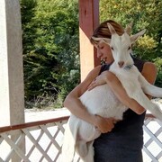 ���������� ���������, ���� ������� ���, 41 ���, ������������ ��� c�������� ���������