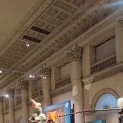 ���������� �����, ���� ������� ������, 41 ���, ������������ ��� ������, ����� � ���������, c�������� ���������